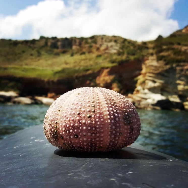 Willa Scialii Castellammare del Golfo Zewnętrze zdjęcie